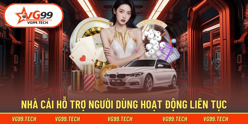 Hỗ trợ mọi hoạt động của hội viên tại nền tảng