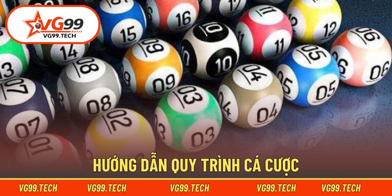 Quy trình tham gia săn thưởng chi tiết