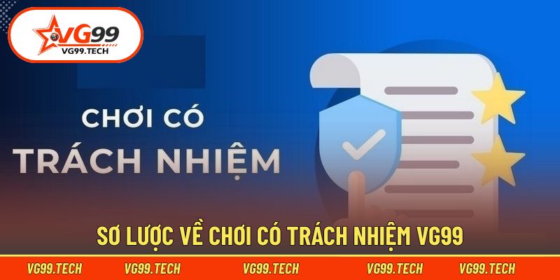 Những nét chính về chơi có trách nhiệm